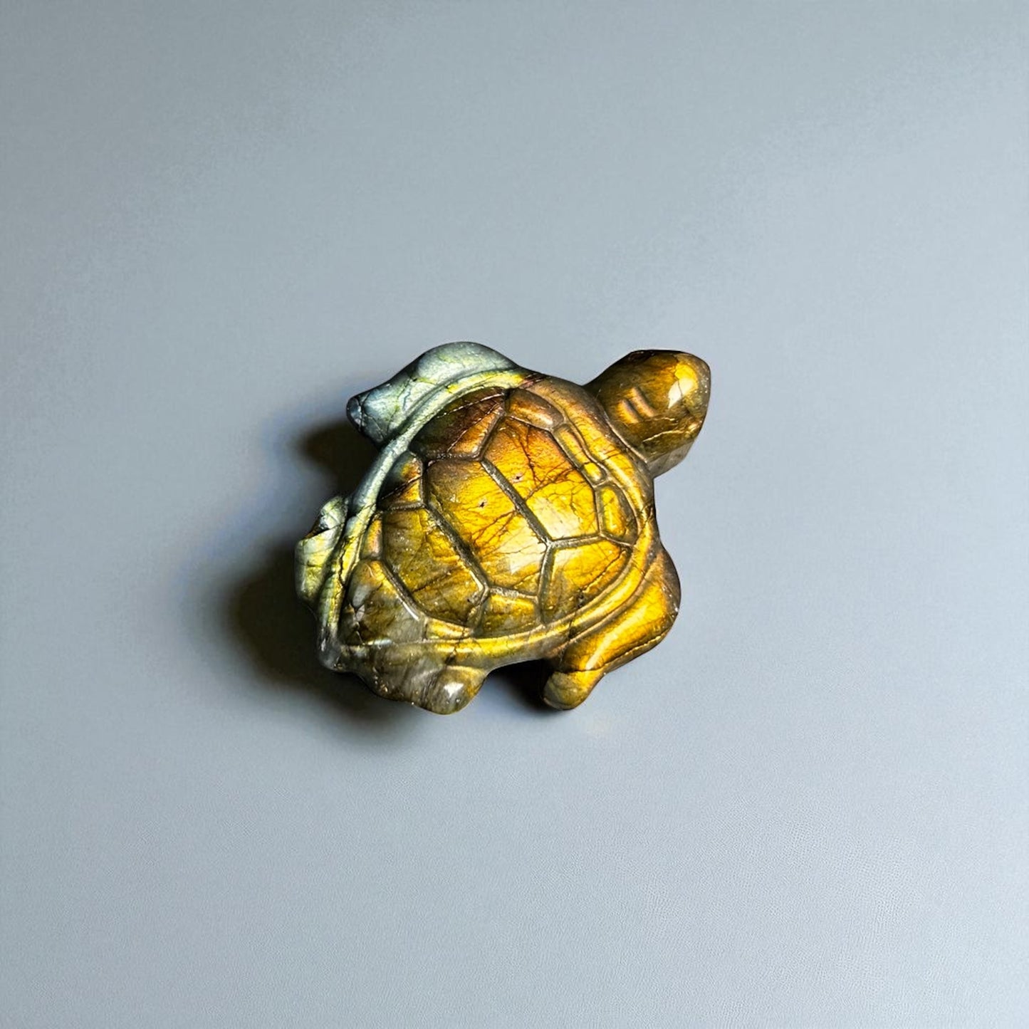 HIGH QUALITY Labradorit Schildkröte