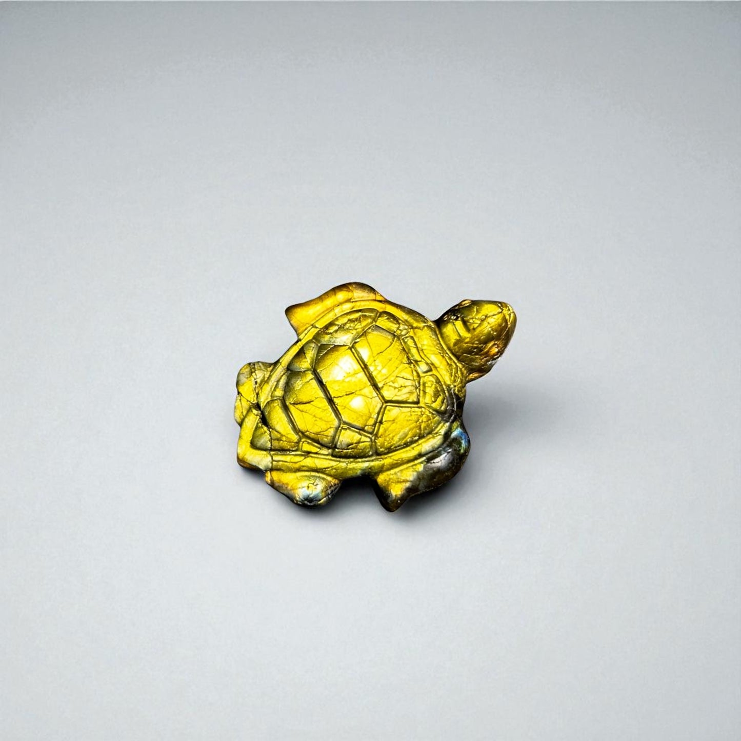 HIGH QUALITY Labradorit Schildkröte