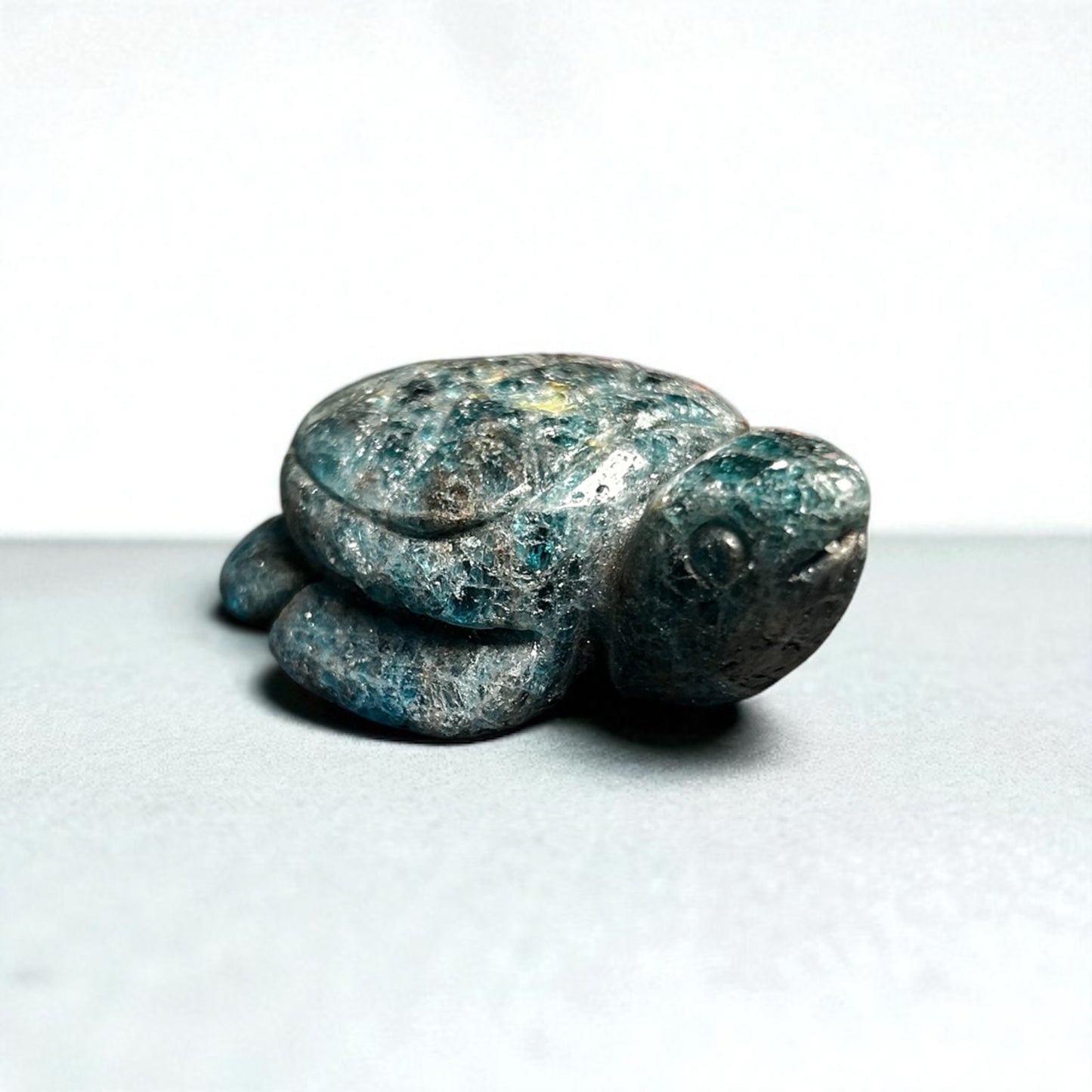 Apatit Schildkröte