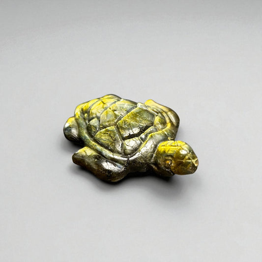 HIGH QUALITY Labradorit Schildkröte