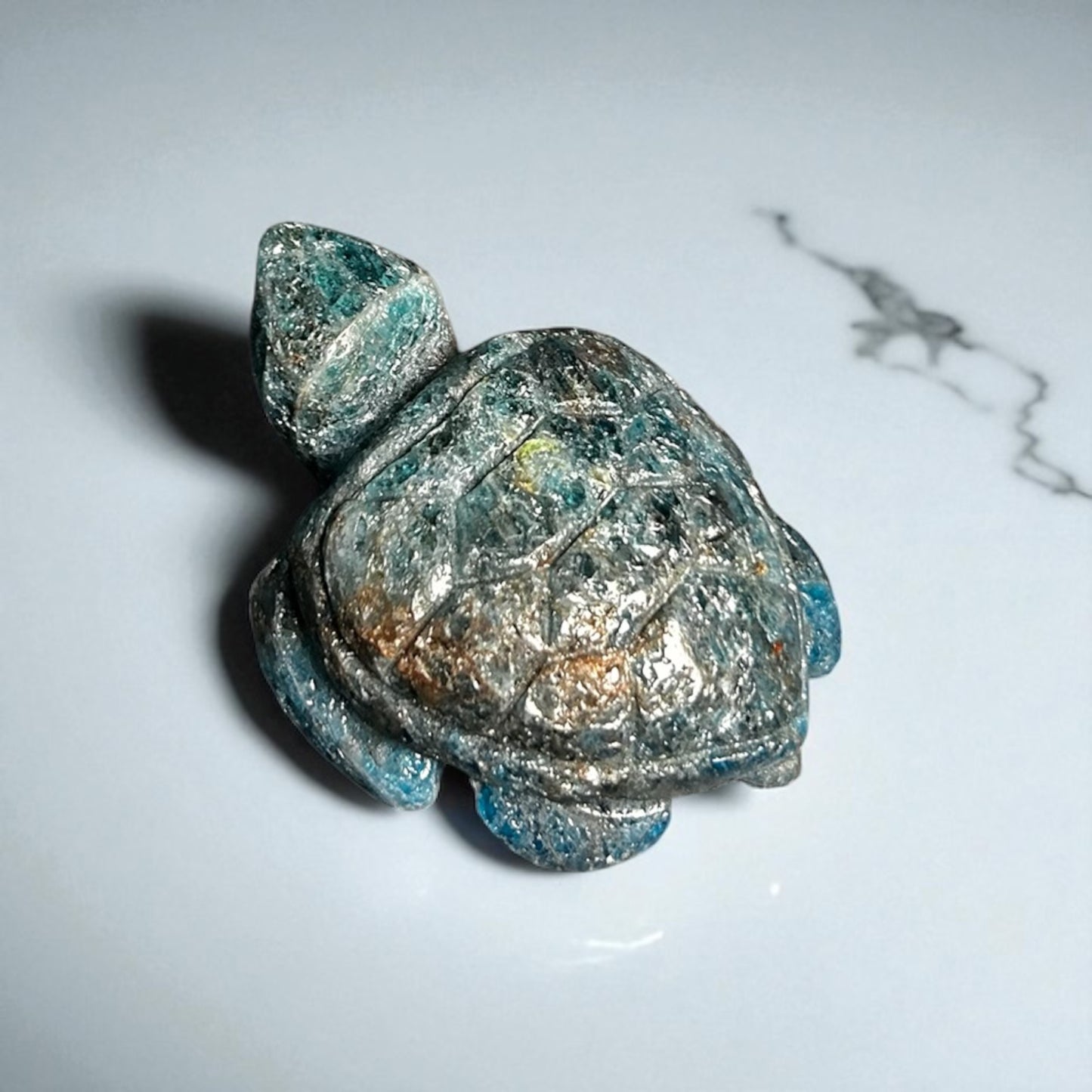 Apatit Schildkröte