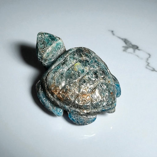 Apatit Schildkröte