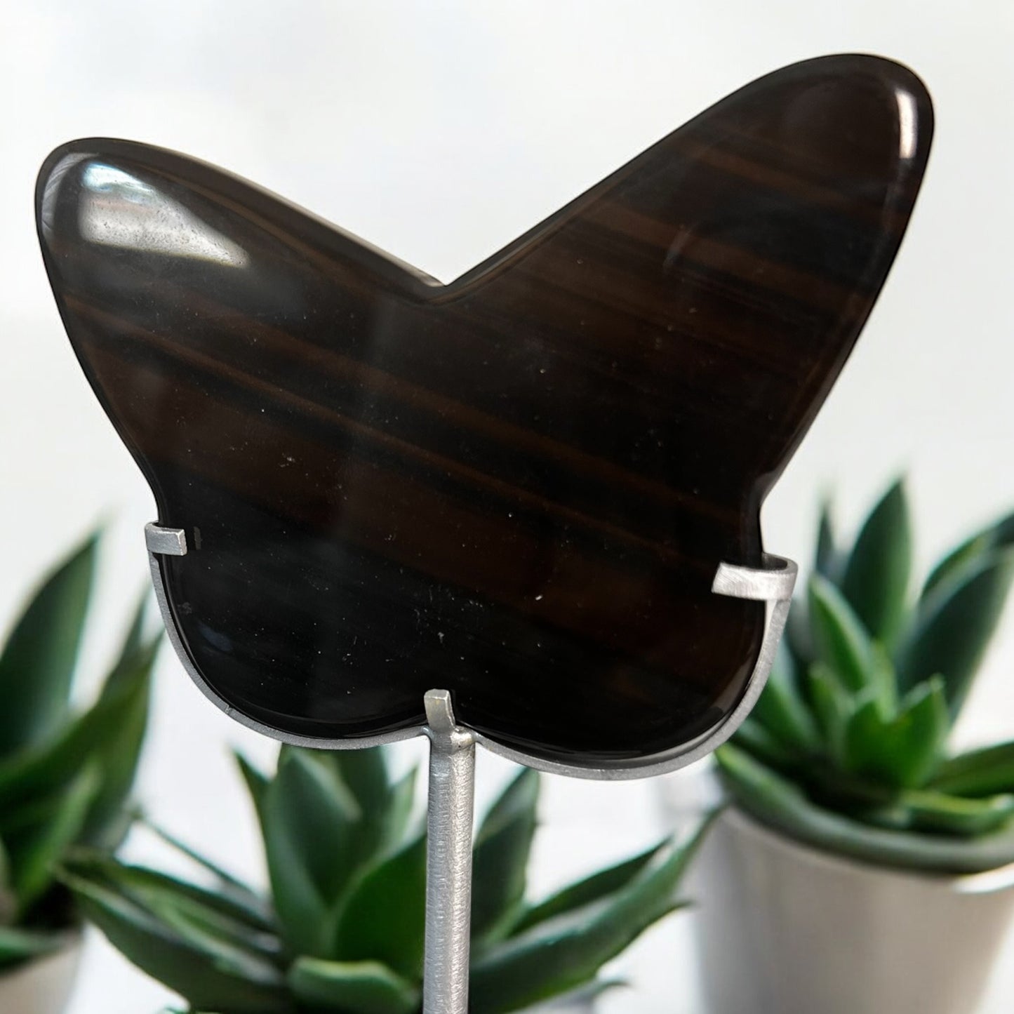 Schmetterling aus Midnightlace Obsidian