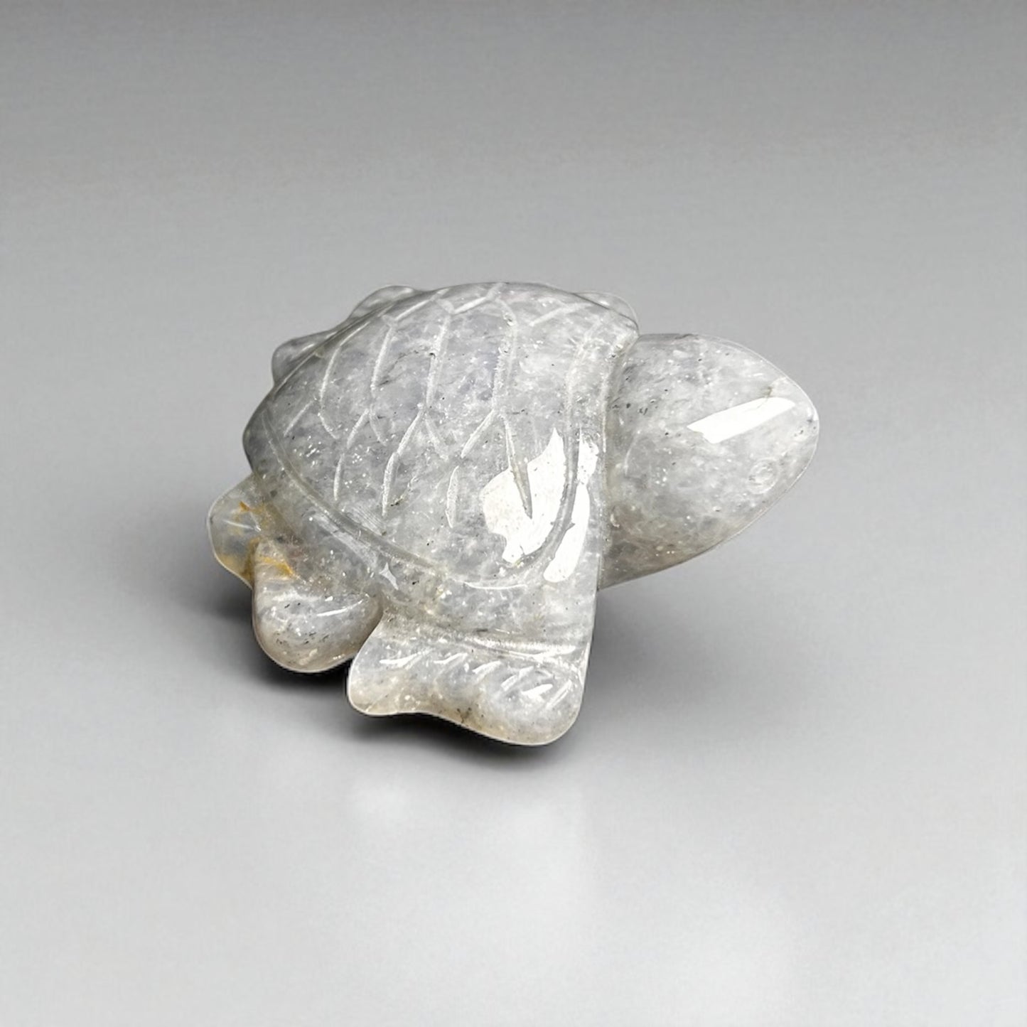 Mystery Schildkröte