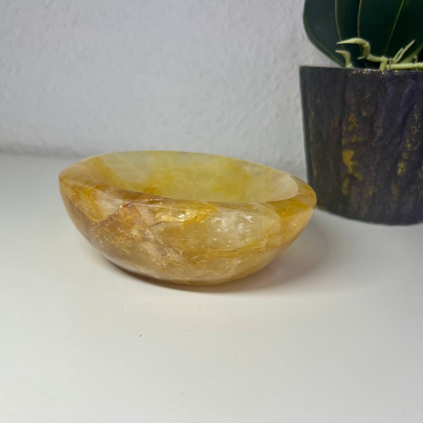Golden Healer Schale