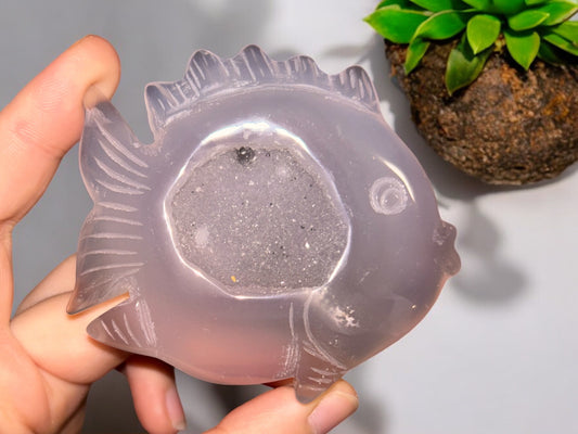 Druzy Achatfisch