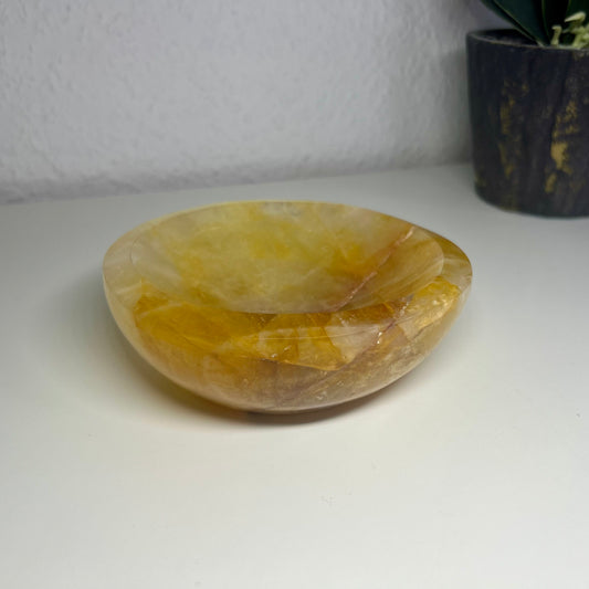 Golden Healer Schale