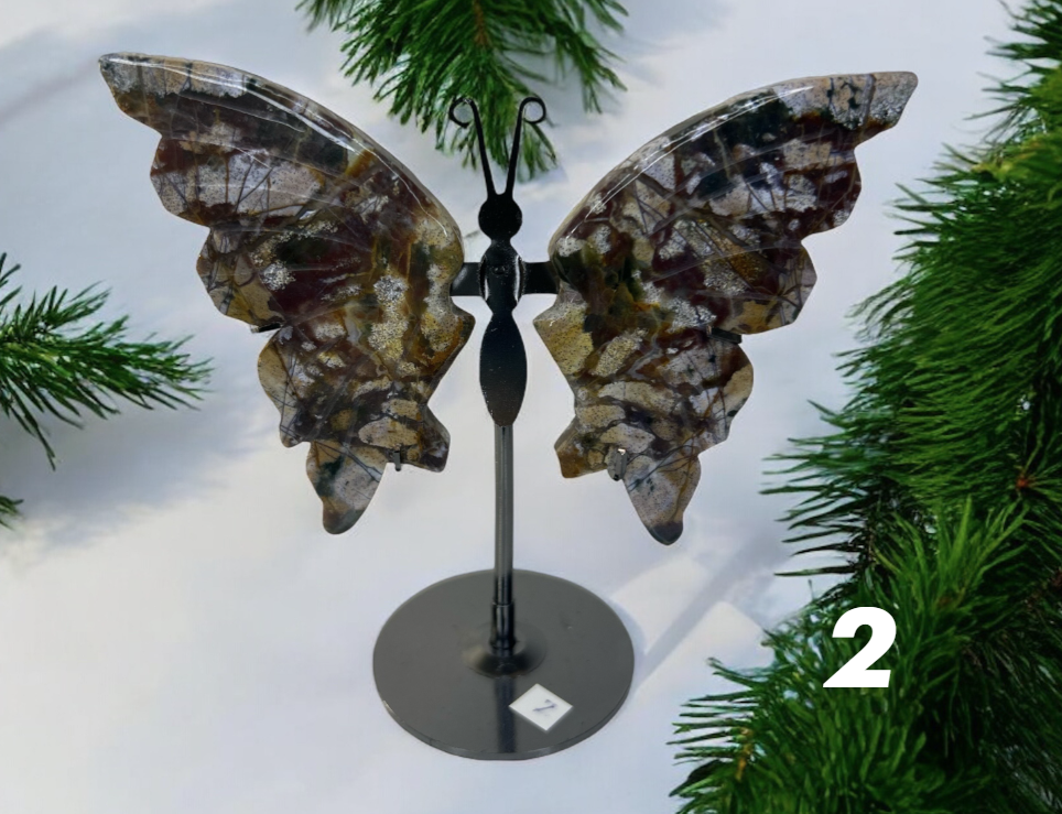 Schmetterling aus Ozeanjaspis