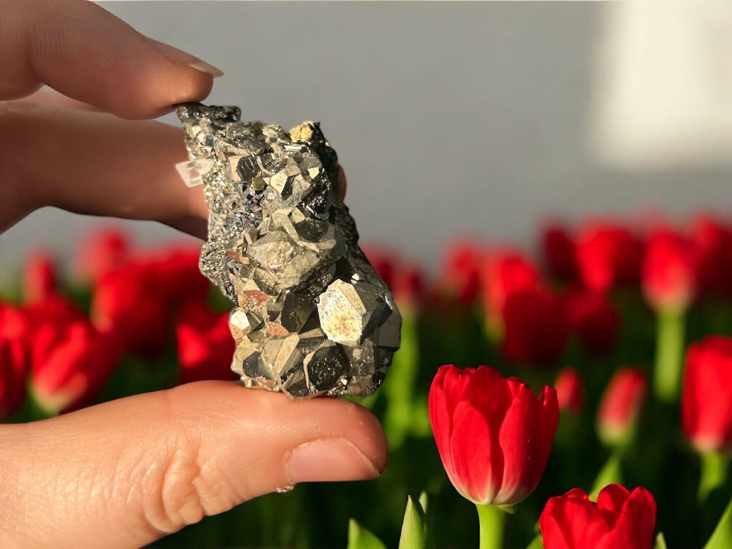 Peruvian Pyrite