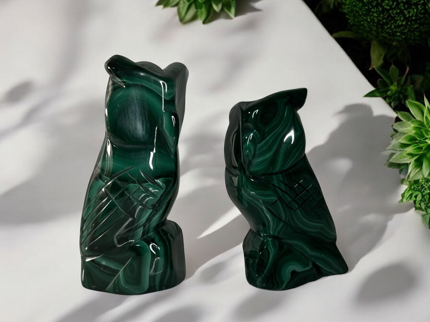 Malachite Owl